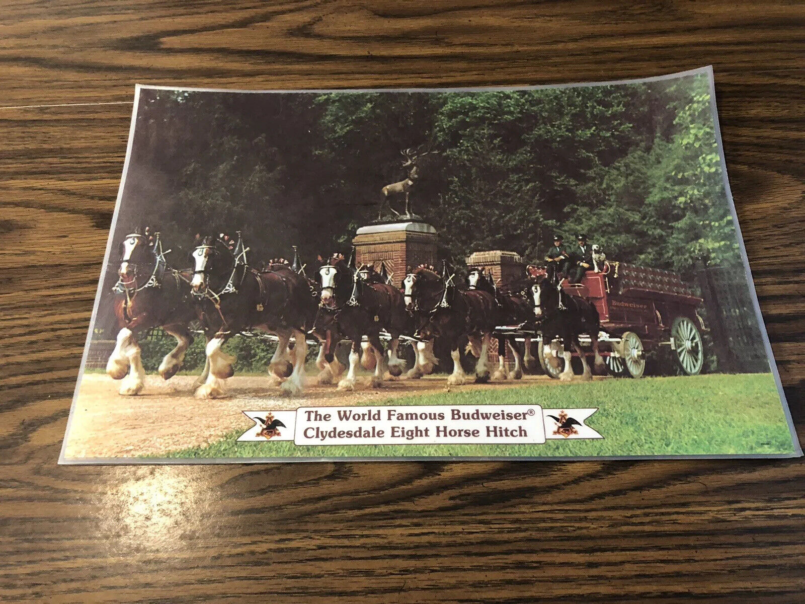 Set Of 2 Vintage Budweiser Clydesdales Laminated Placemats GREAT COND.