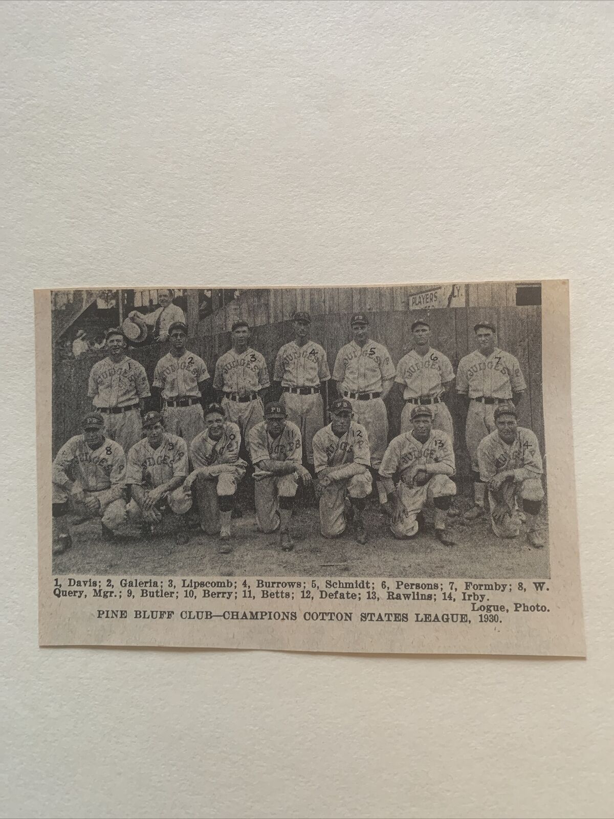Pine Bluff Judges Cotton States League Tony DeFate 1930 Baseball Team Picture #2