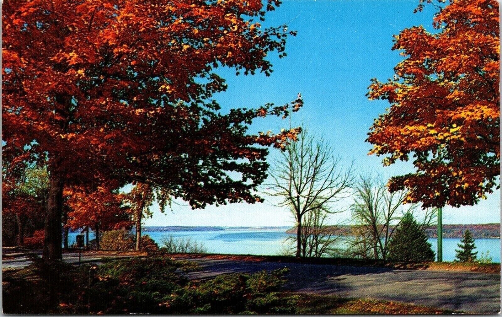 Autumn Color Rand Park Keokuk Iowa IA Mississippi River View Postcard Unused UNP