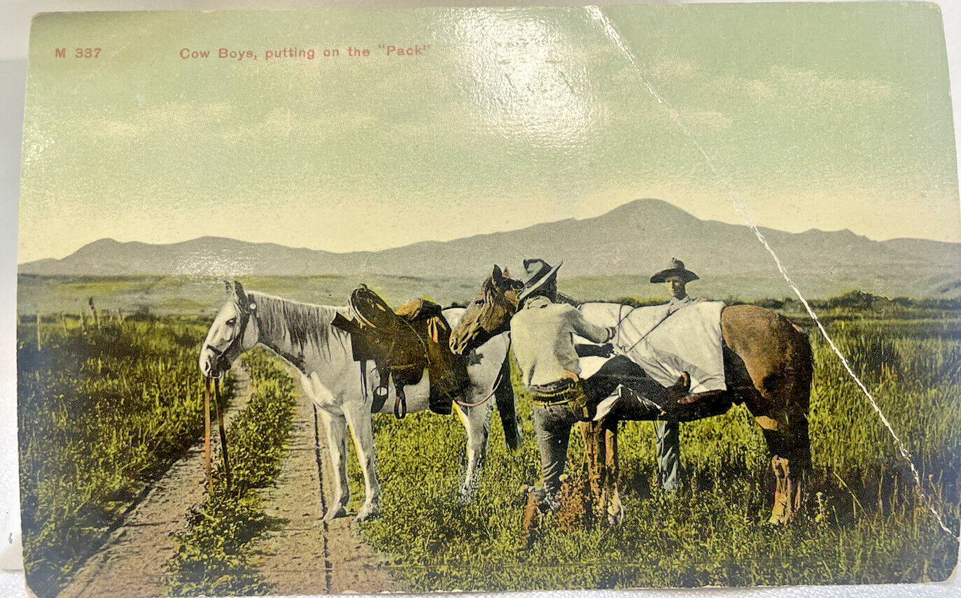 Picture Postcard Cowboys Putting On The Pack Charles Morris Postcard Unposted