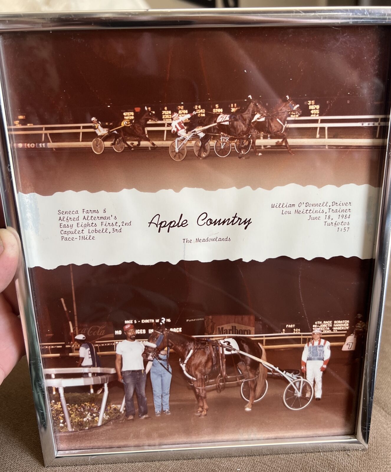 Rare Turfotos Horse Racing June 18, 1984 Photograph The Meadowlands