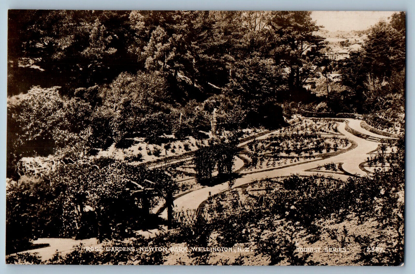 Wellington New Zealand Postcard Rose Gardens Newton Park c1910 RPPC Photo