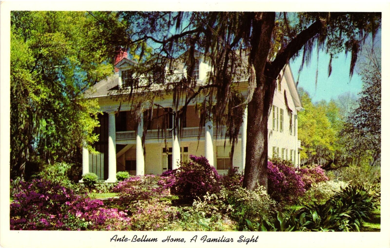 Vintage Postcard- Ante-Bellum Home 1960s