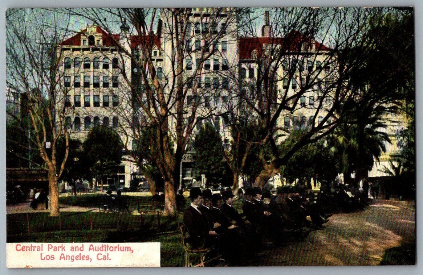 Antique Postcard~ Central Park & Auditorium~ Los Angeles, California 