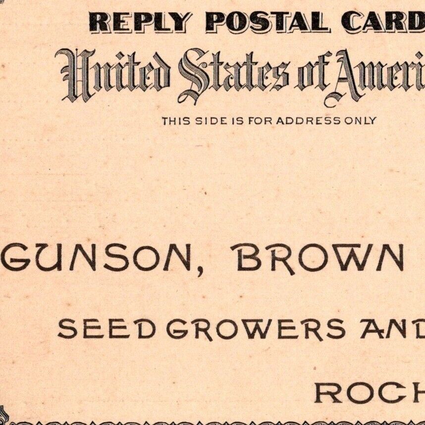 1893 Gunson Brown & Company Seed Growers And Merchants Rochester New York