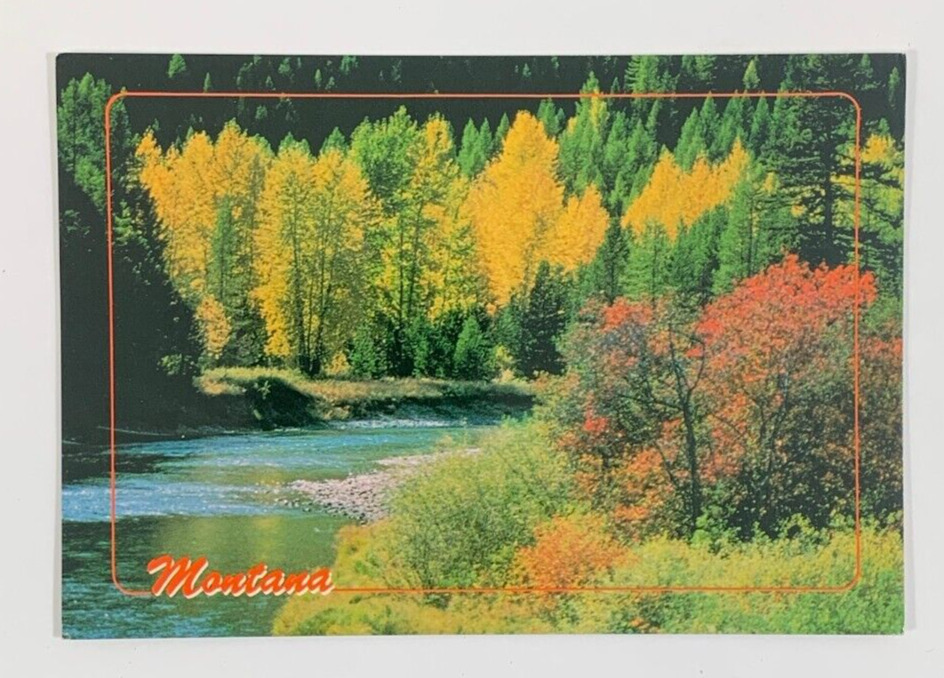 Autumn Fall Colors Along one of Montanas Majestic Streams Postcard Unposted
