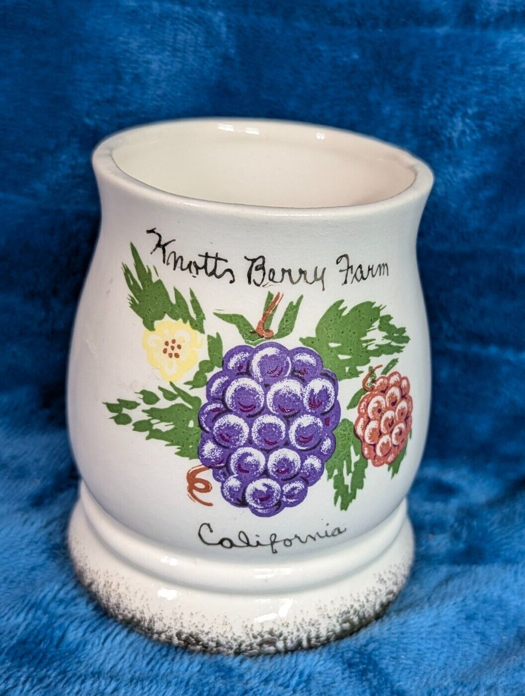 Vintage Knotts Berry Farm Raspberry Blackberry Ceramic Cup Jar Vase
