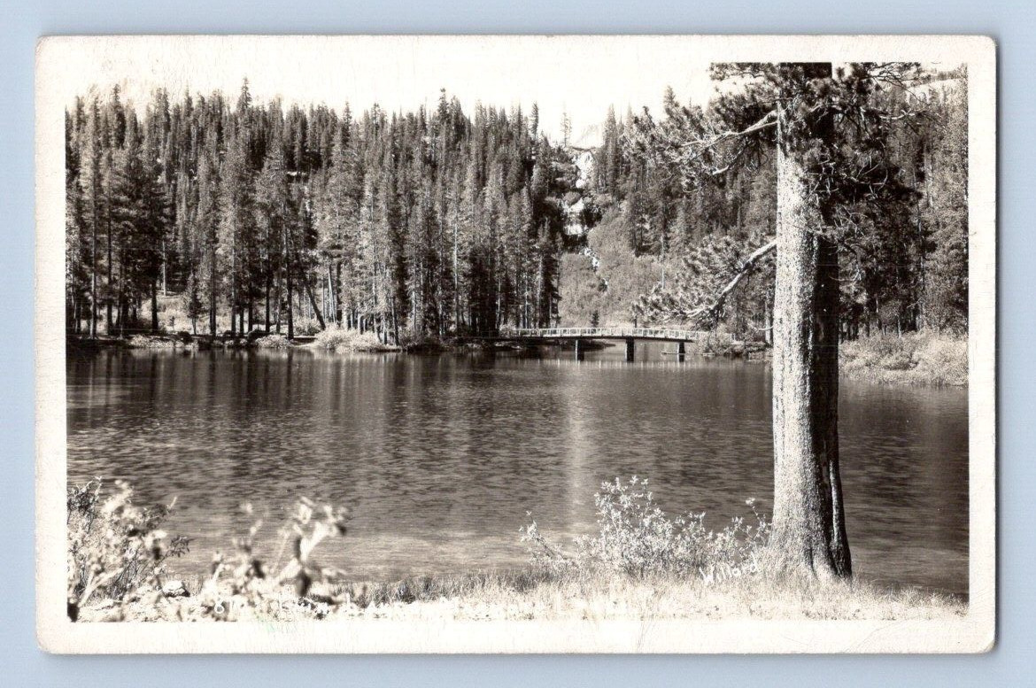 RPPC 1950'S. LAKE SCENE. BISHOP, CAL. POSTCARD. FF16