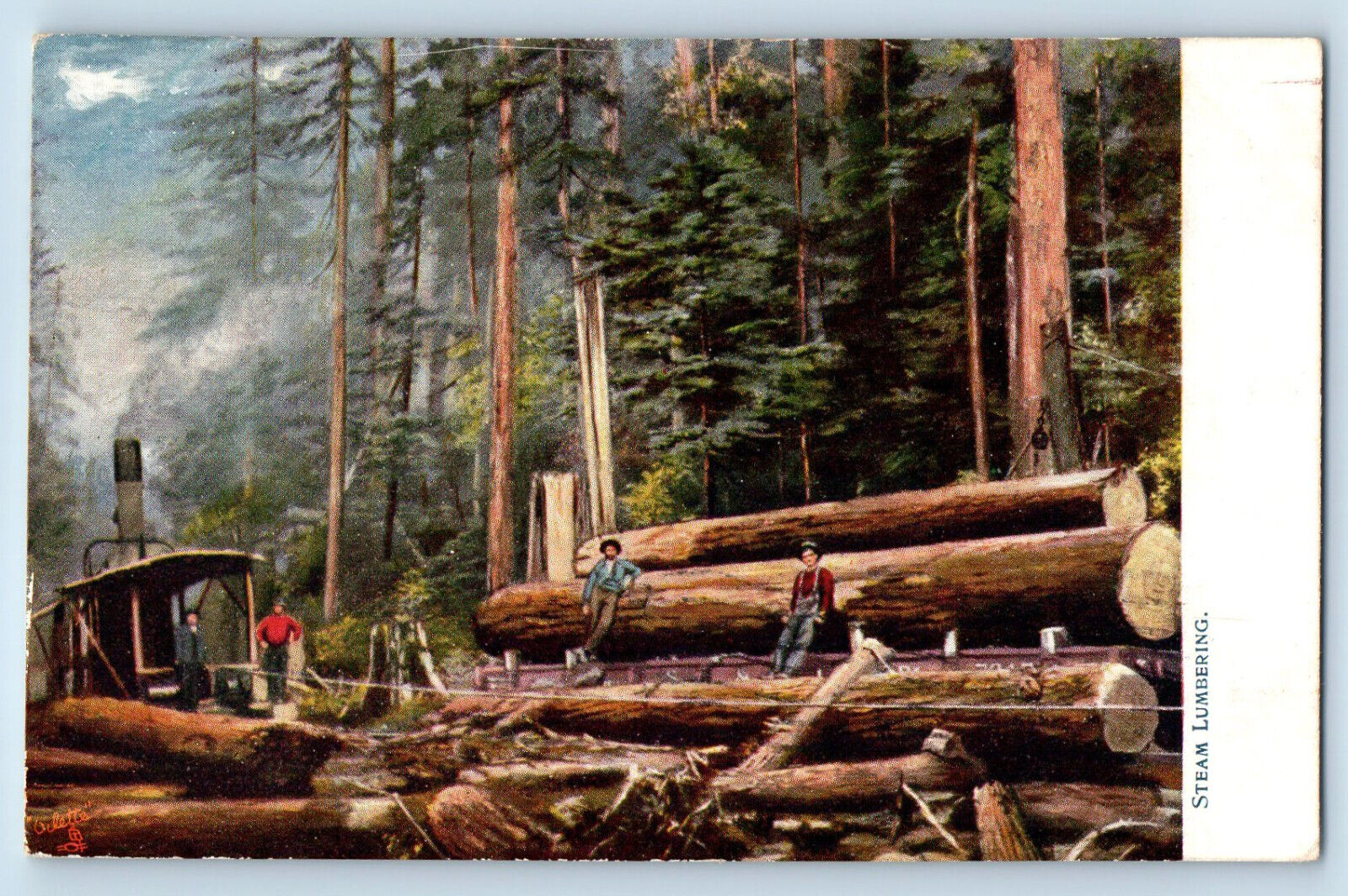 California CA Jewett City CT Postcard Steam Lumbering 1907 Oilette Tuck Art