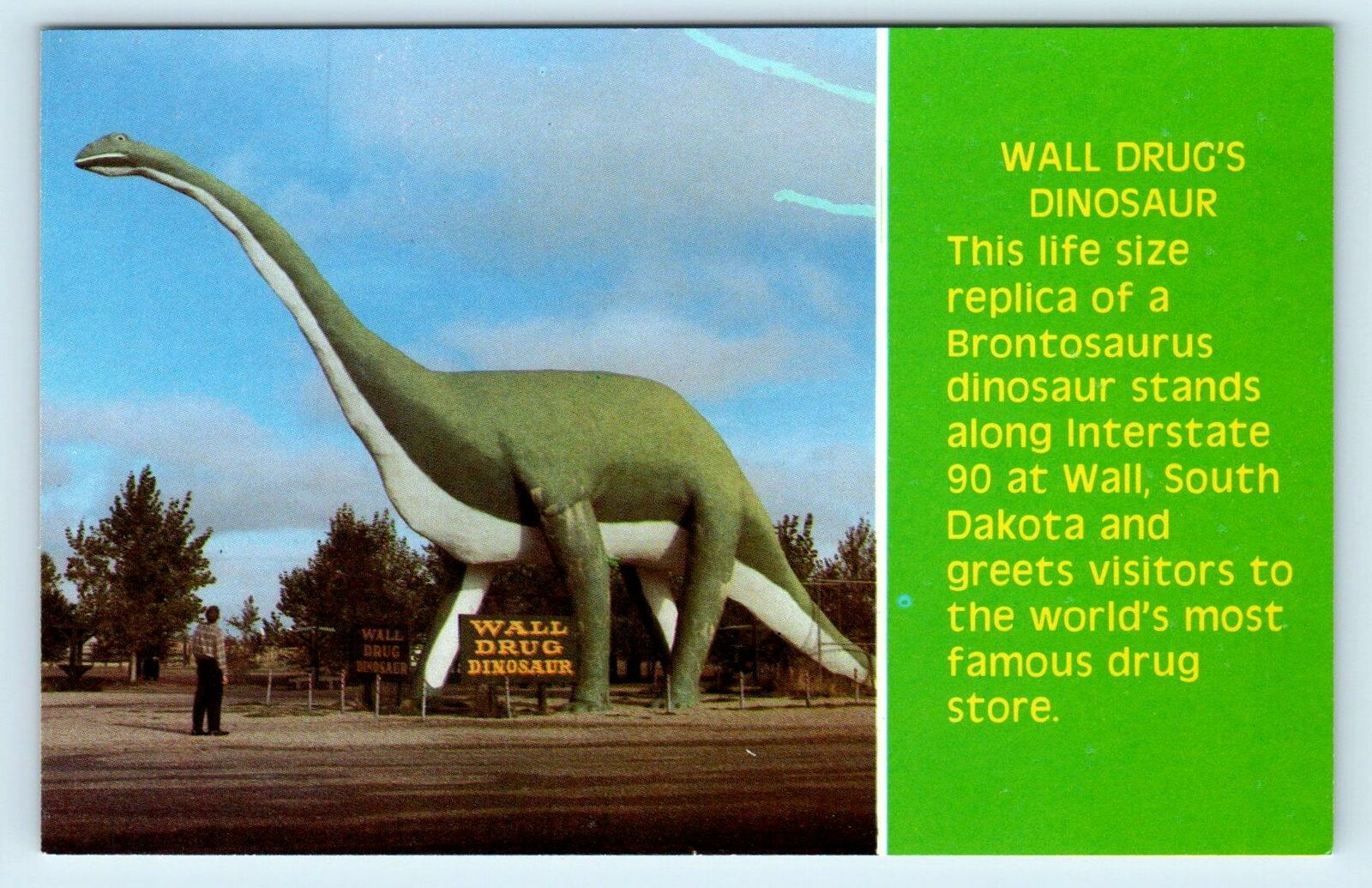 WALL, SD South Dakota ~ WALL DRUG\'S DINOSAUR c1970s Roadside Postcard