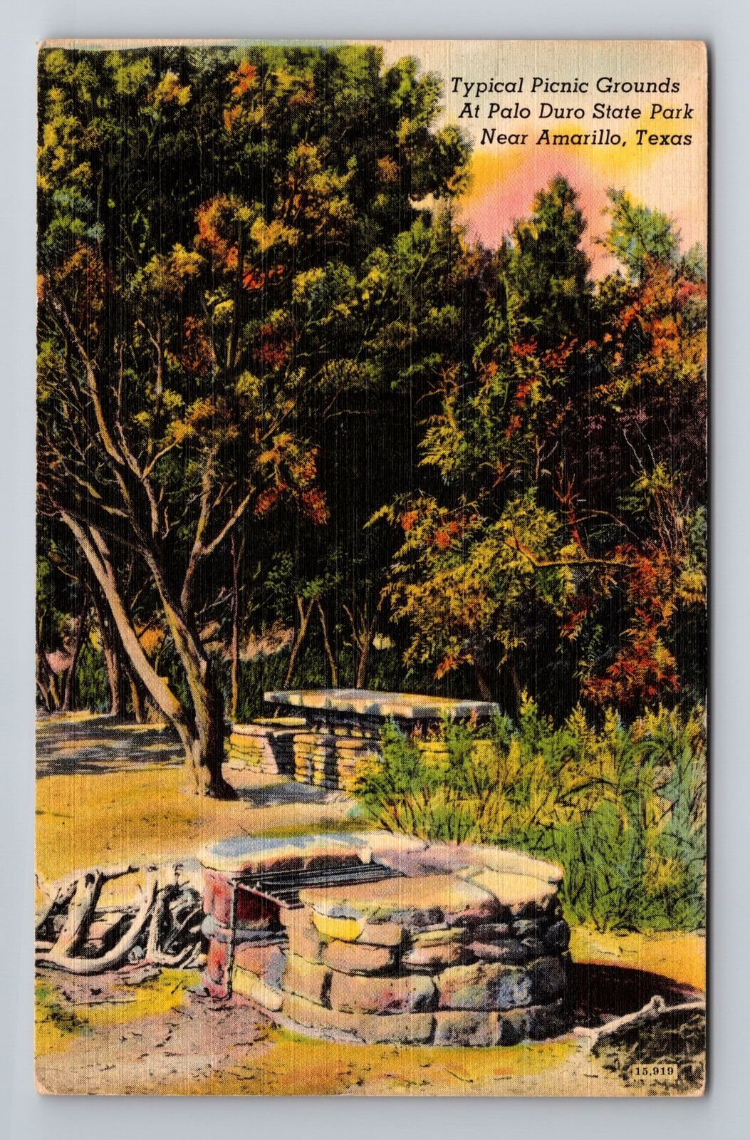 Amarillo TX-Texas, Palo Duro State Park, Antique Vintage Souvenir Postcard