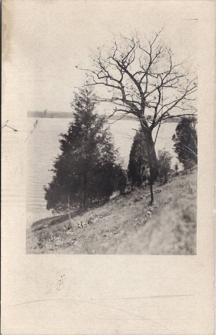 Wisconsin Nagawicka Lake Trees 1908 RPPC Broeg Family Milwaukee Postcard Z17