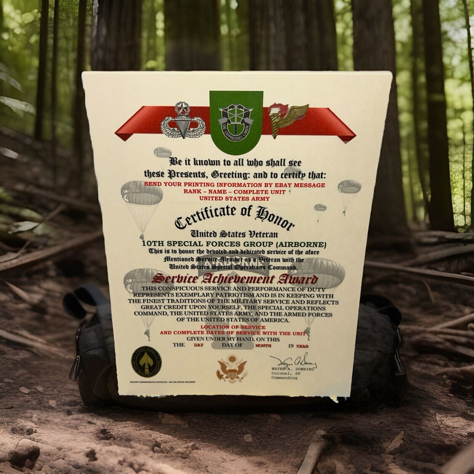 U.S. ARMY - 10TH SPECIAL FORCES GROUP (ABN) VETERAN SERVICE ACHIEVEMENT AWARD