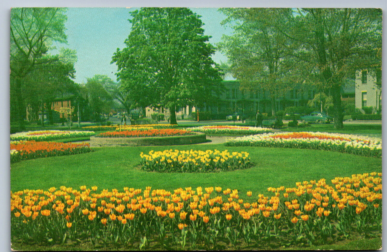 Postcard New York NY Plymouth Ave South Circle Tulip Beds Rochester AE3