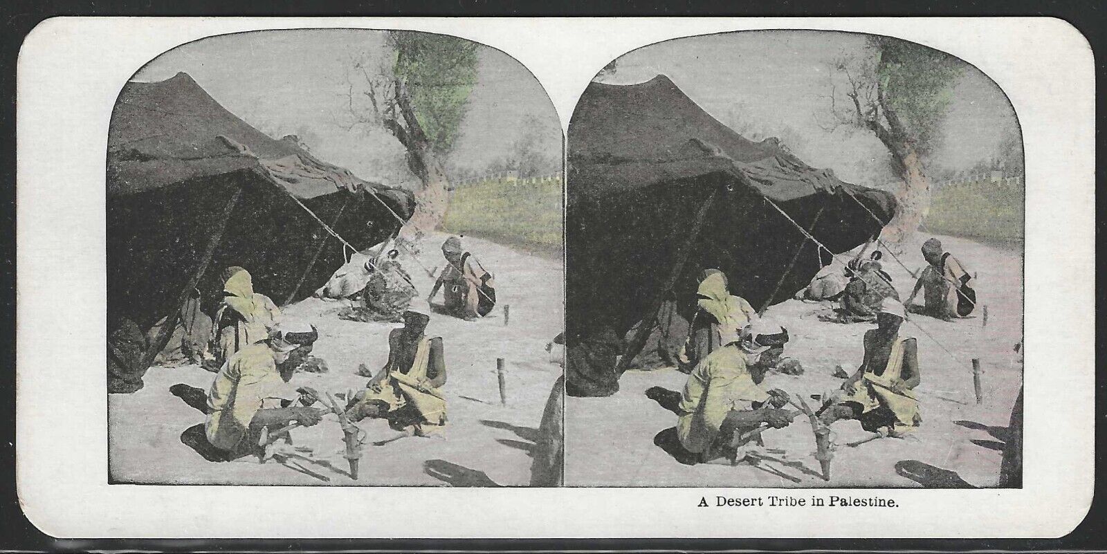 A Desert tribe in Palestine, Hand Colored Stereographic View Card