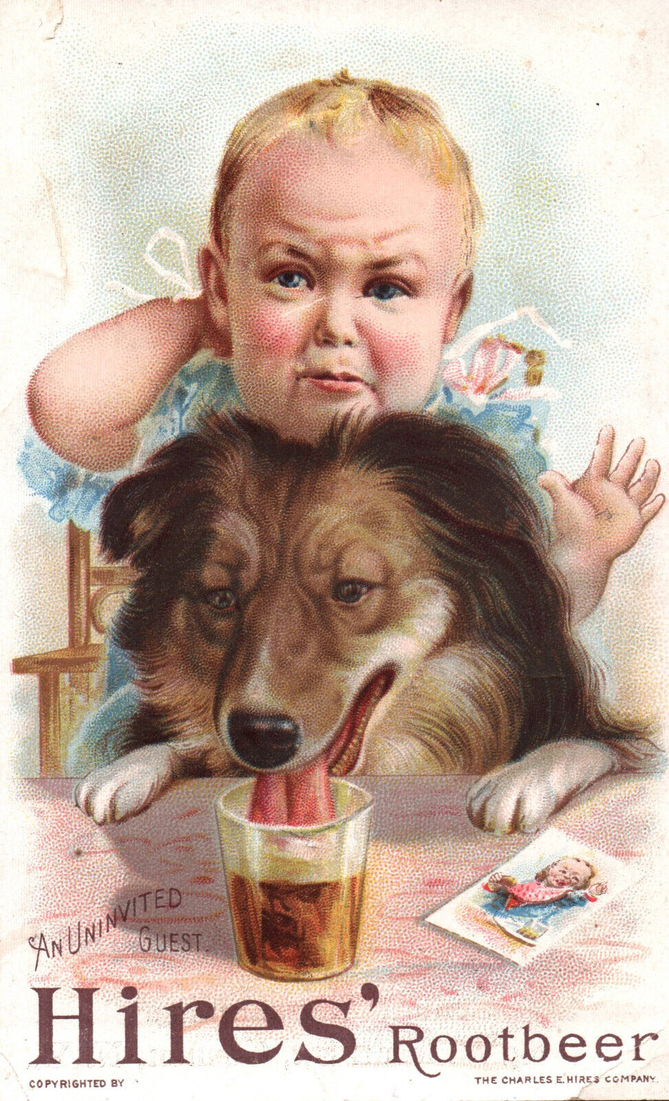 CIRCA 1880S - 1890S HIRES ROOTBEER ADVERTISING TRADE CARD- Collie Dog