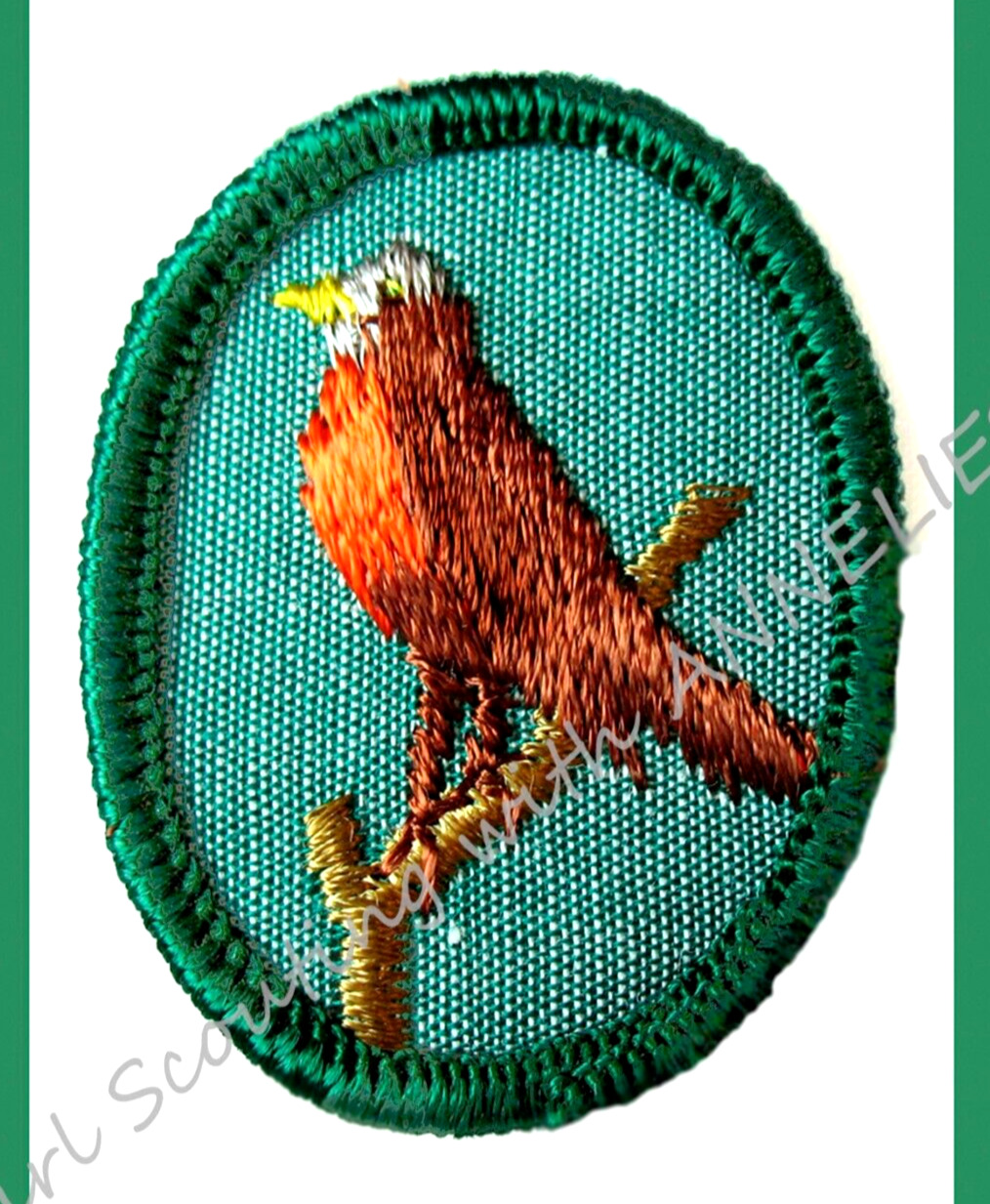 NEW ROBIN 1963, Girl Scout TROOP CREST Insignia RARE Cheesecloth 
