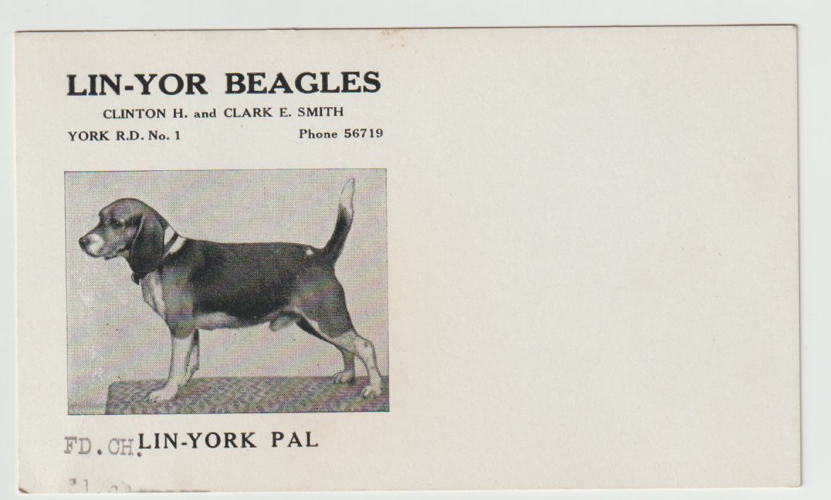 Unused Advertising Card Lin Yor Beagles York Rd no 1 Pennsylvania PA