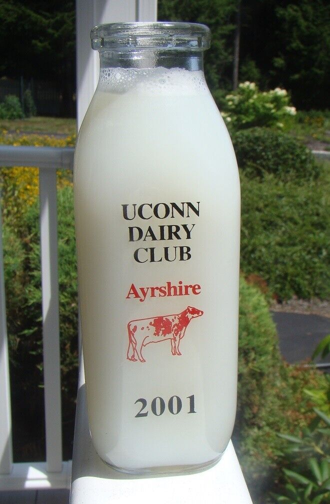 UCONN DAIRY CLUB AYRSHIRE 2001 LIMITED BREED EDITION Milk Bottle