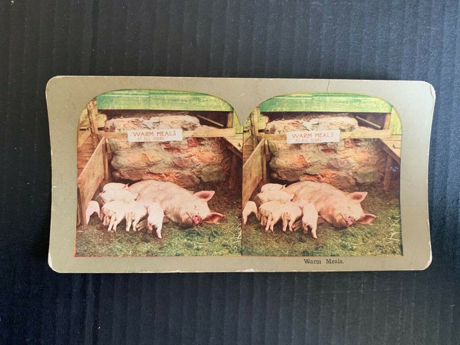 c.1900 Warm Meals Stereoview Card