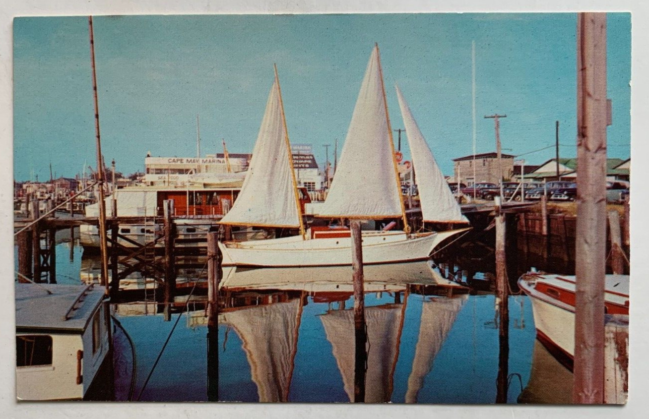 c 1954 NJ Postcard Cape May New Jersey Marina dock sailboat sailing boat vintage