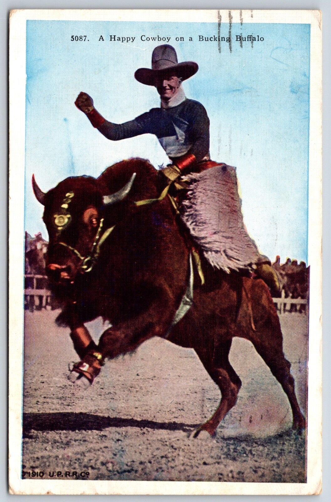 Postcard A Happy Cowboy On A Bucking Buffalo, Posted 1951