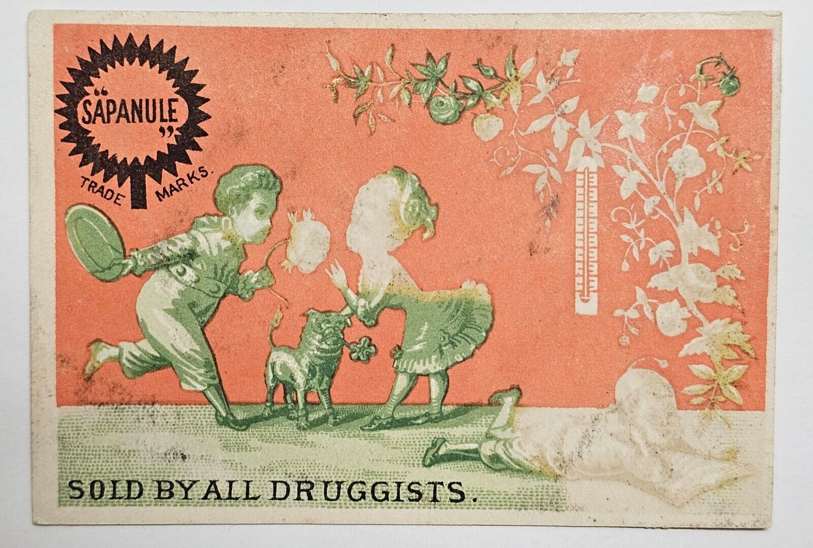 1890\'s Victorian Trade Card Sapanule Glycerine Lotion Sold By All Druggists