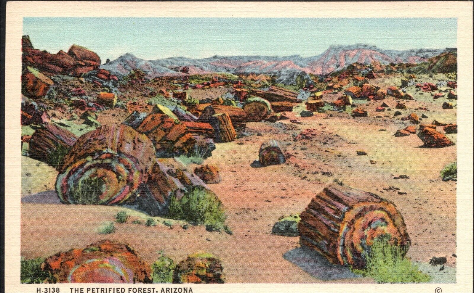 Postcard Fred Harvey Petrified Forest Arizona AZ