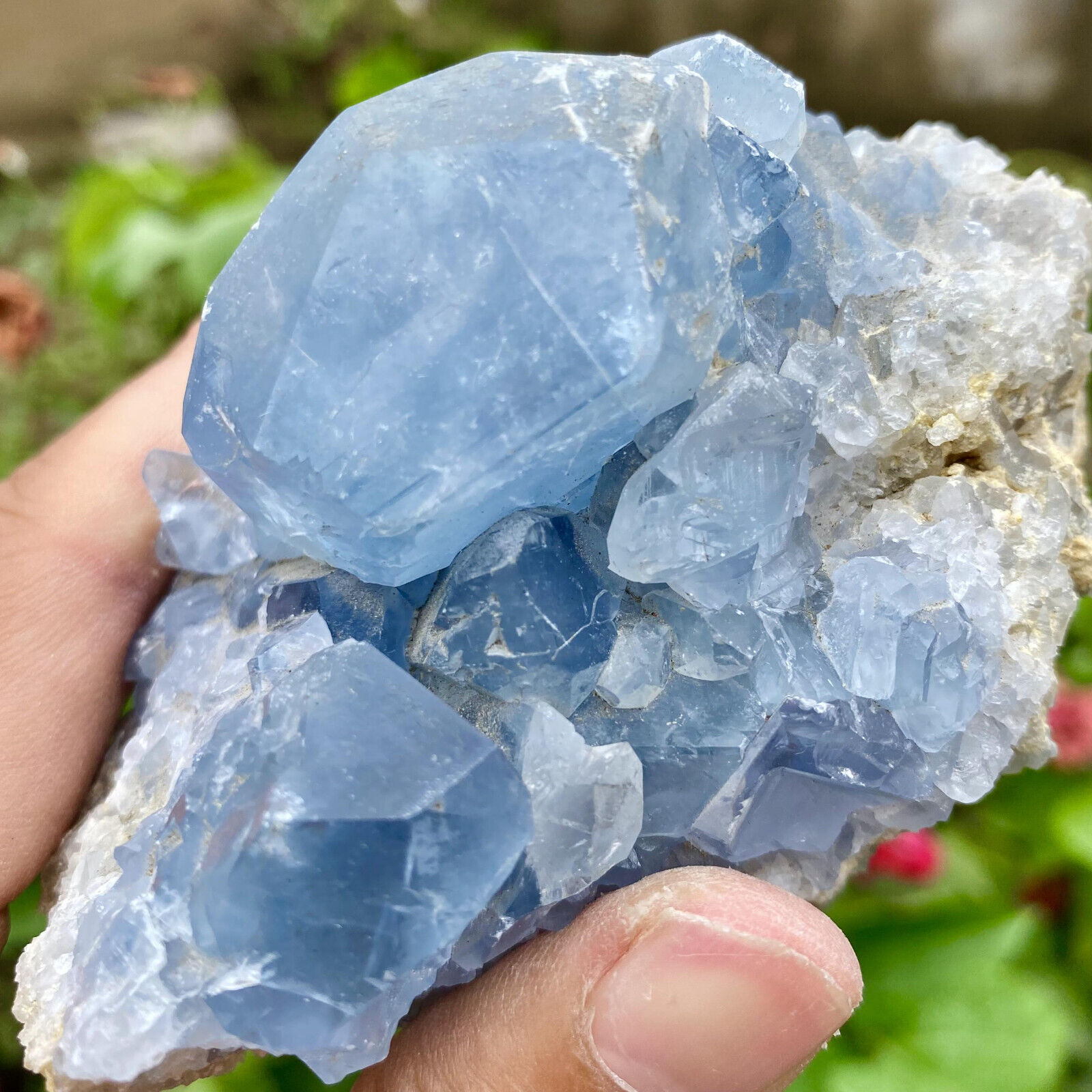 478G Natural Beautiful Blue Celestite Crystal Geode Cave Mineral Specimen