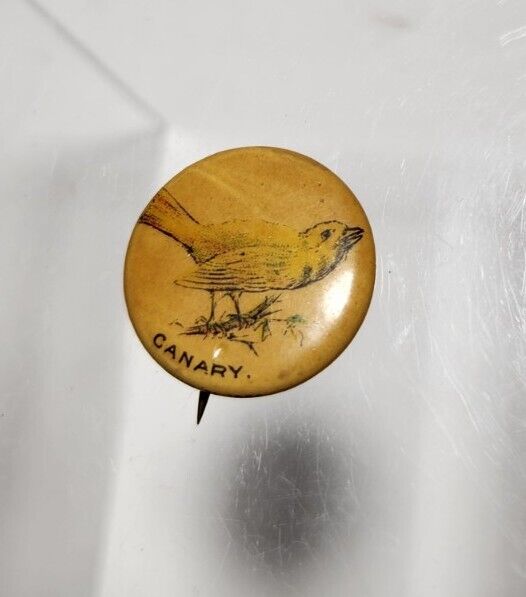 ATQ 1890s CANARY Whitehead & Hoag Pepsin Gum Bird Pinback Button Newark NJ 1896
