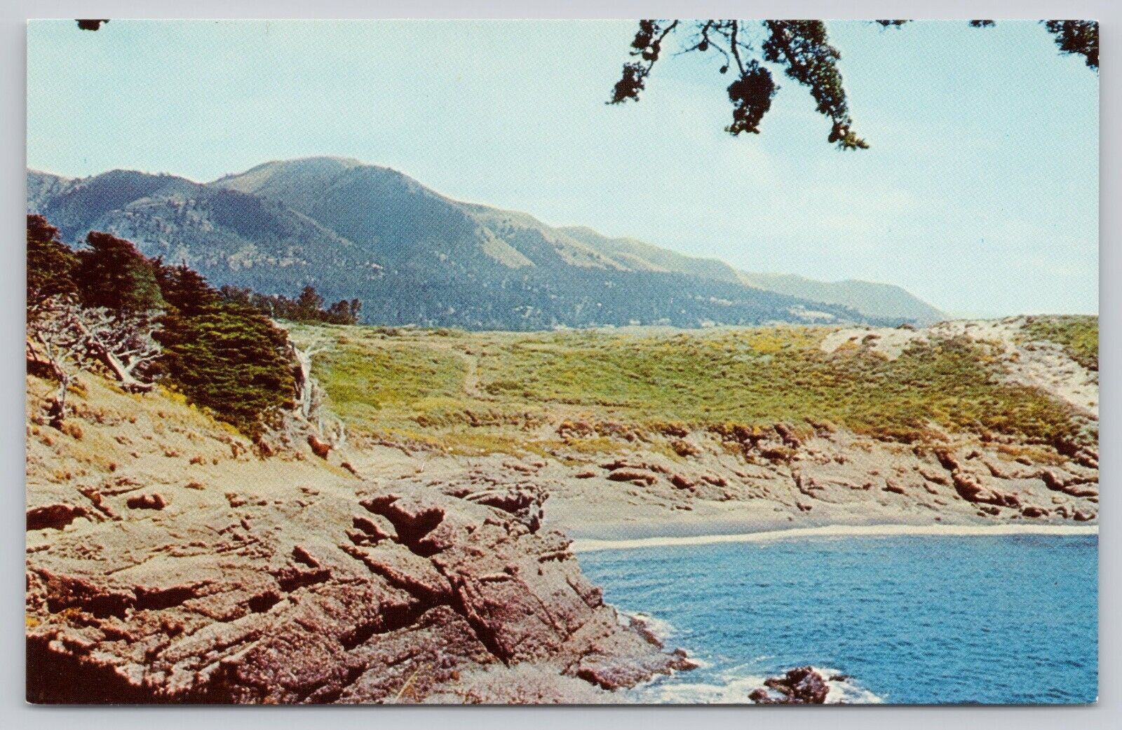 Postcard Point Lobos Reserve Park Monterey CA