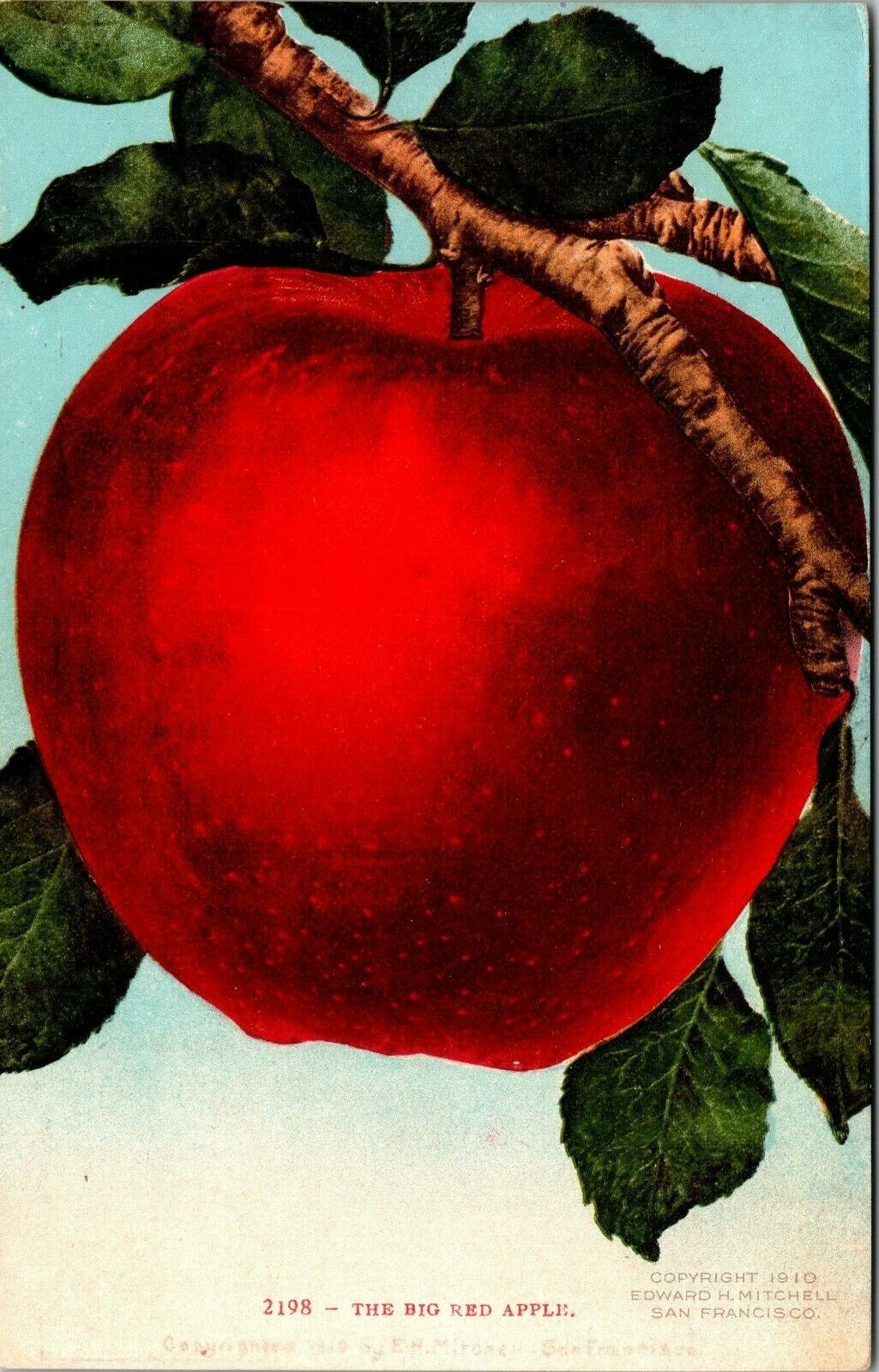 Big Red Apple 1910 Edward H. Mitchell San Francisco California  Vintage Postcard