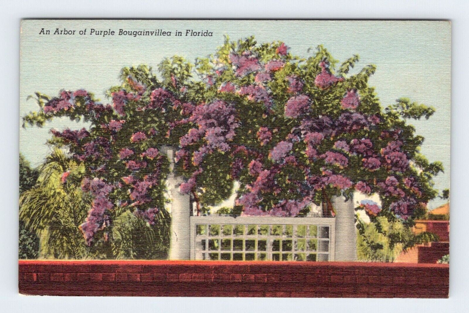 Post Office Key West Florida Vintage Linen Postcard BRY4
