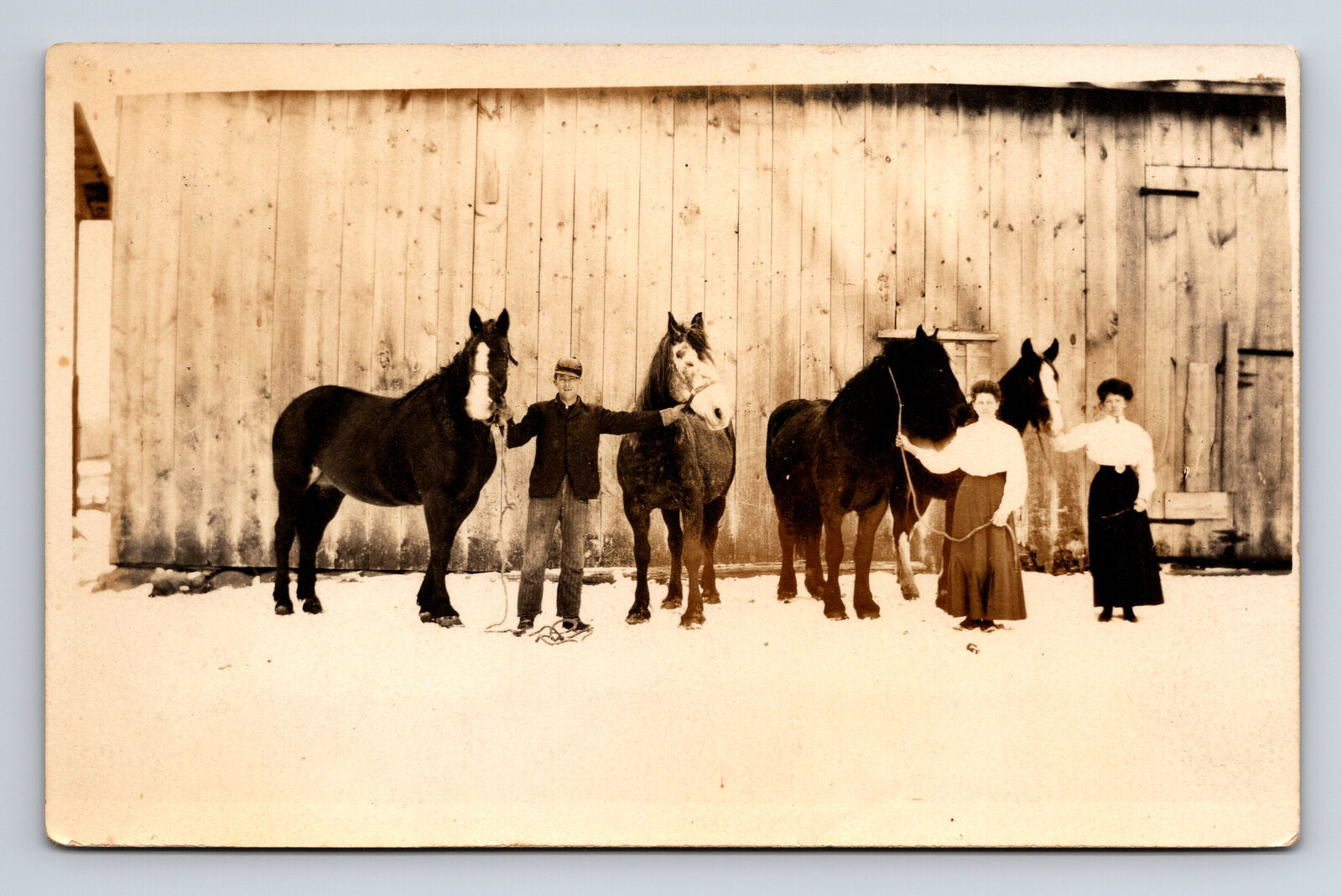 c1911 RPPC Willie & Mary to Fred Lange Stout Horses & Barn Embarrass WI Postcard