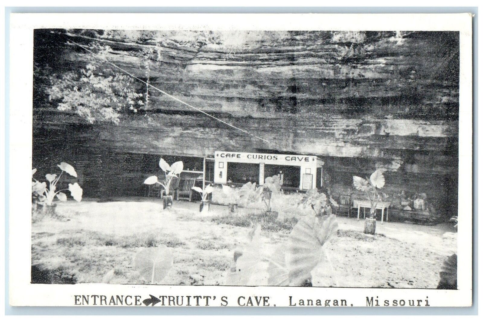 c1920's Entrance Truitt's Cave Plants Stone Wall Lanagan Missouri MO Postcard