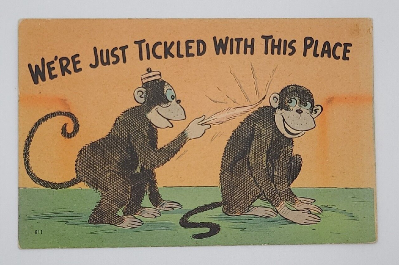 1940s POSTCARD WE\'RE JUST TICKLED WITH THIS PLACE, MONKEYS WITH FEATHER