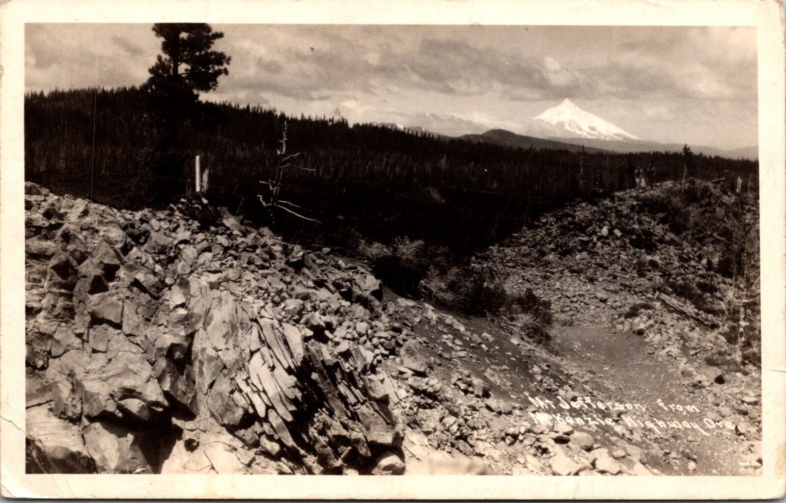 Real Photo Postcard Mt. Jefferson from McKenzie Highway Oregon Eugene