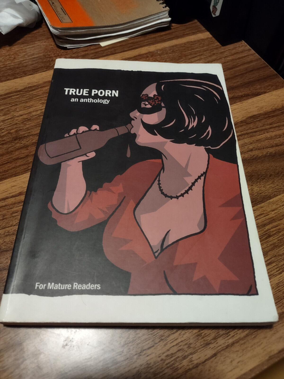 True Porn an Anthology - Graphic Novel - Never Read Excellent Condition