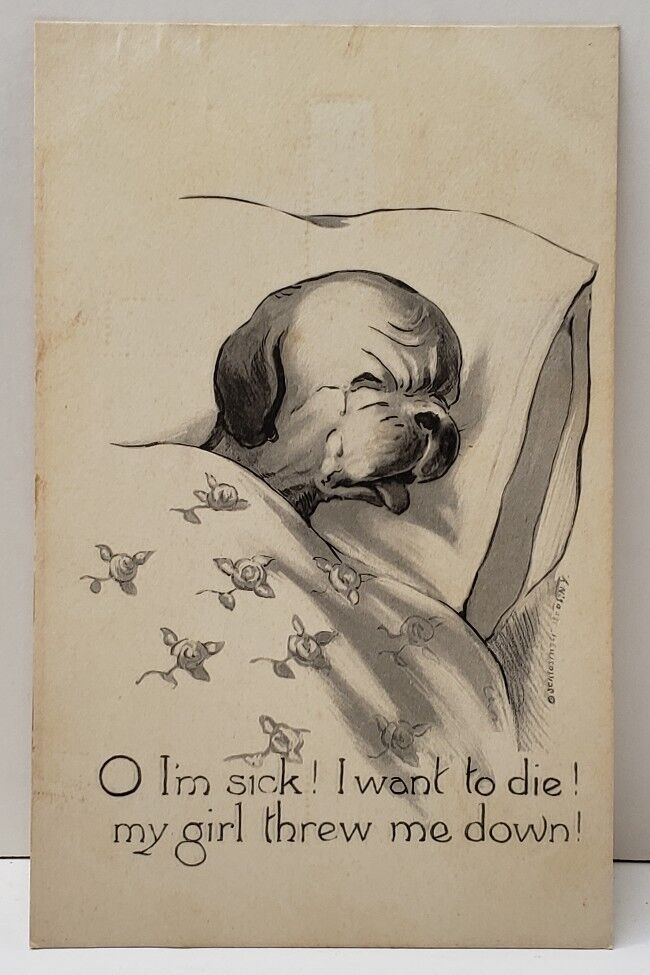 1914 Sick Puppy Schlesinger Bos NY Greeting to Mauertown Va Postcard B11