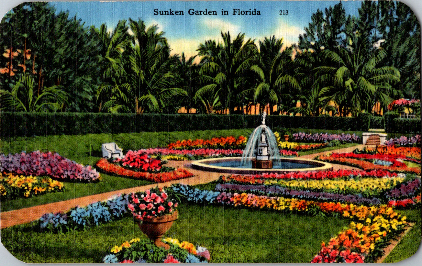 Vintage 1940\'s Beautiful Flowers of Sunken Gardens Florida FL Postcard 