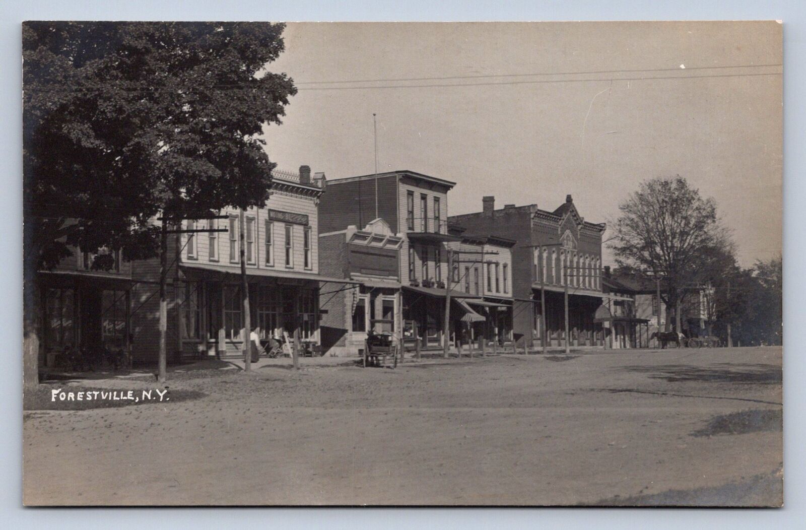 PC1/ Forestville New York RPPC Postcard c1910 Main Street Stores 615