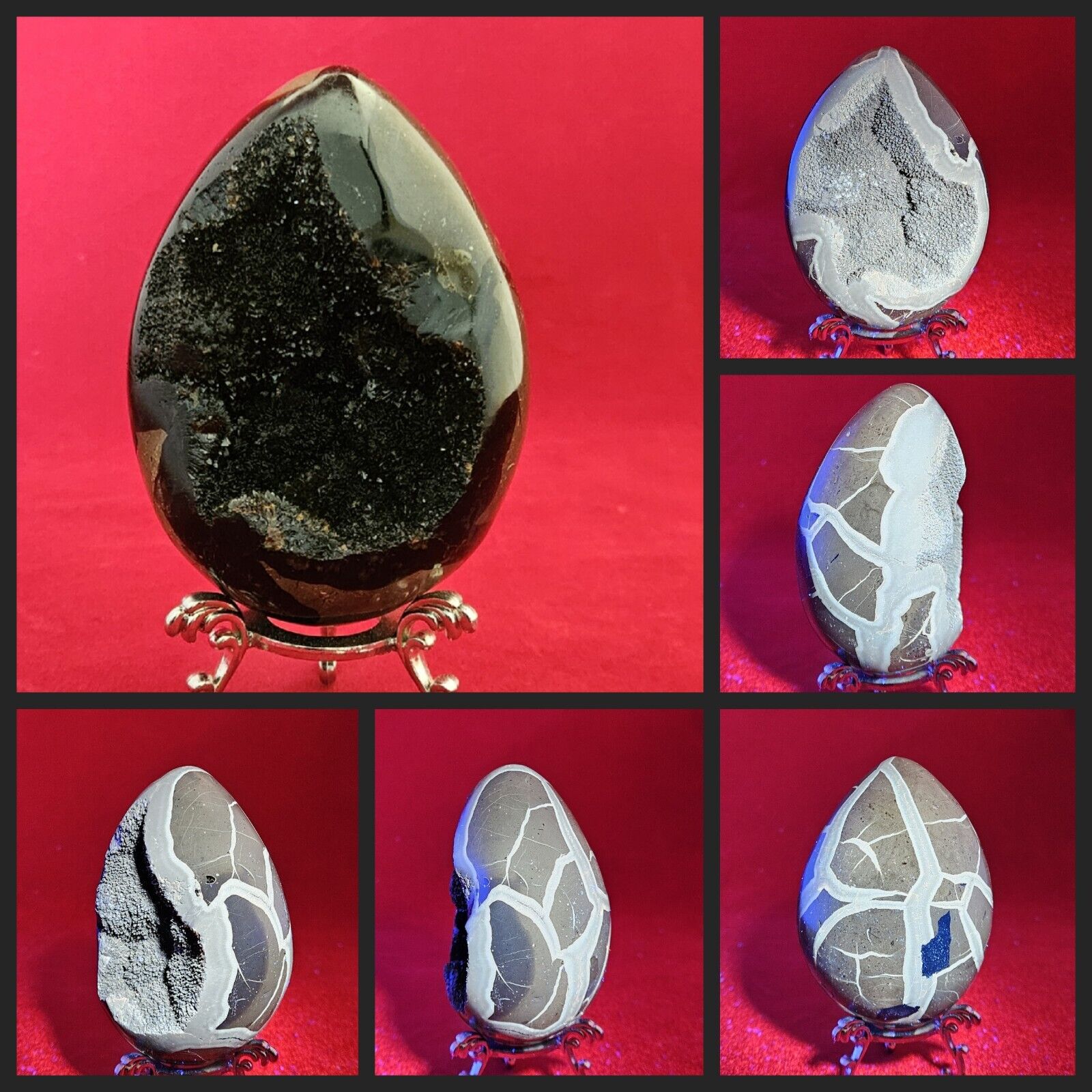 Natural Black Dragon Septarian Stone Geode Egg Nodule Glow Under UV/Light 1+LB