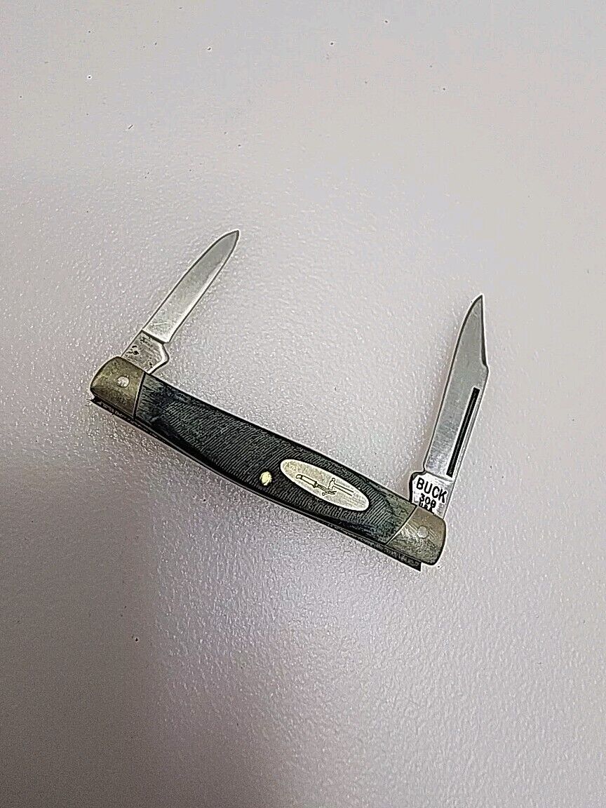 Vintage Buck 309 Companion 2 Blade Pocket Knife USA