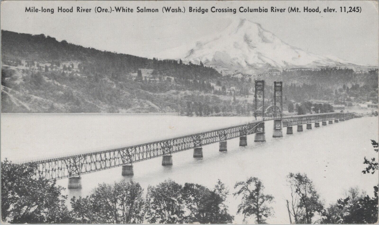 Bridge Hood River OR White Salmon WA Columbia River Mt Hood postcard A964