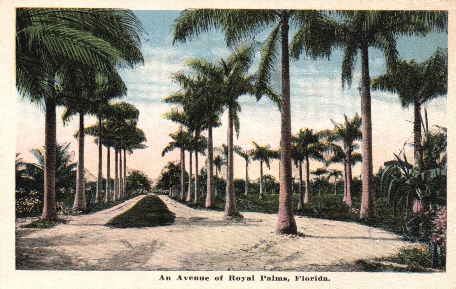 Postcard FL Florida An Avenue of Royal Palms White Border Vintage PC f2443