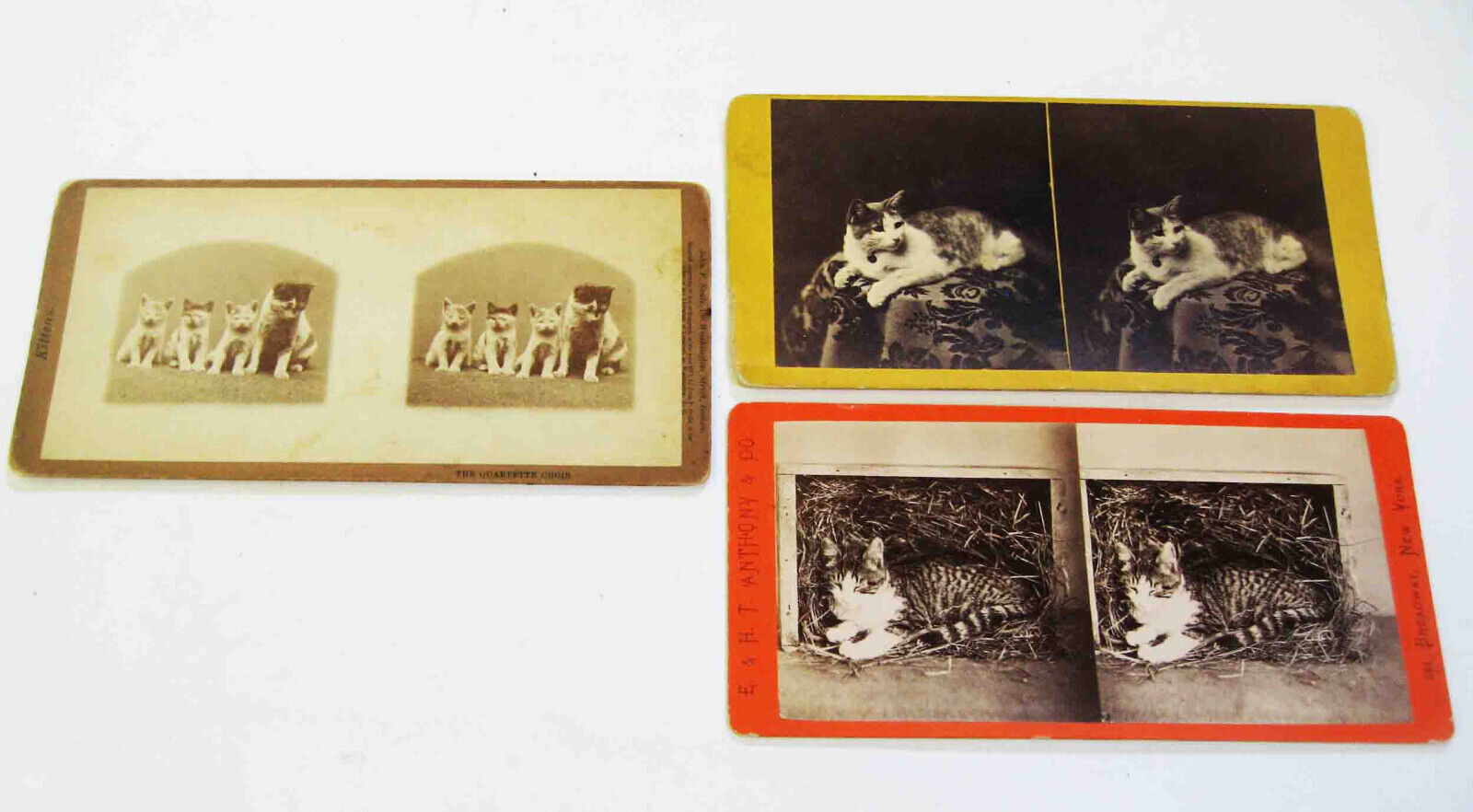 Lot of FOUR (4) Circa 1866 to 1872 CAT Related STEREOVIEWS
