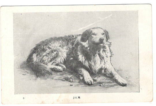 Dog Postcard Advertising for Ezra Meeker Oregon Trails Indian Characters Antique