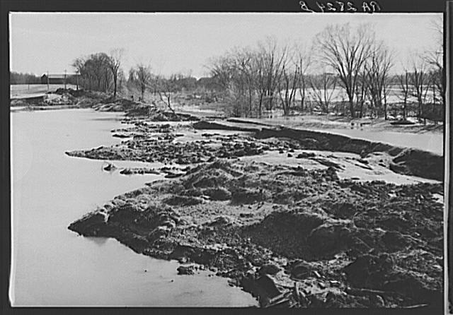 Connecticut River,Hatfield,Massachusetts,MA,Hampshire County,April 1936,FSA