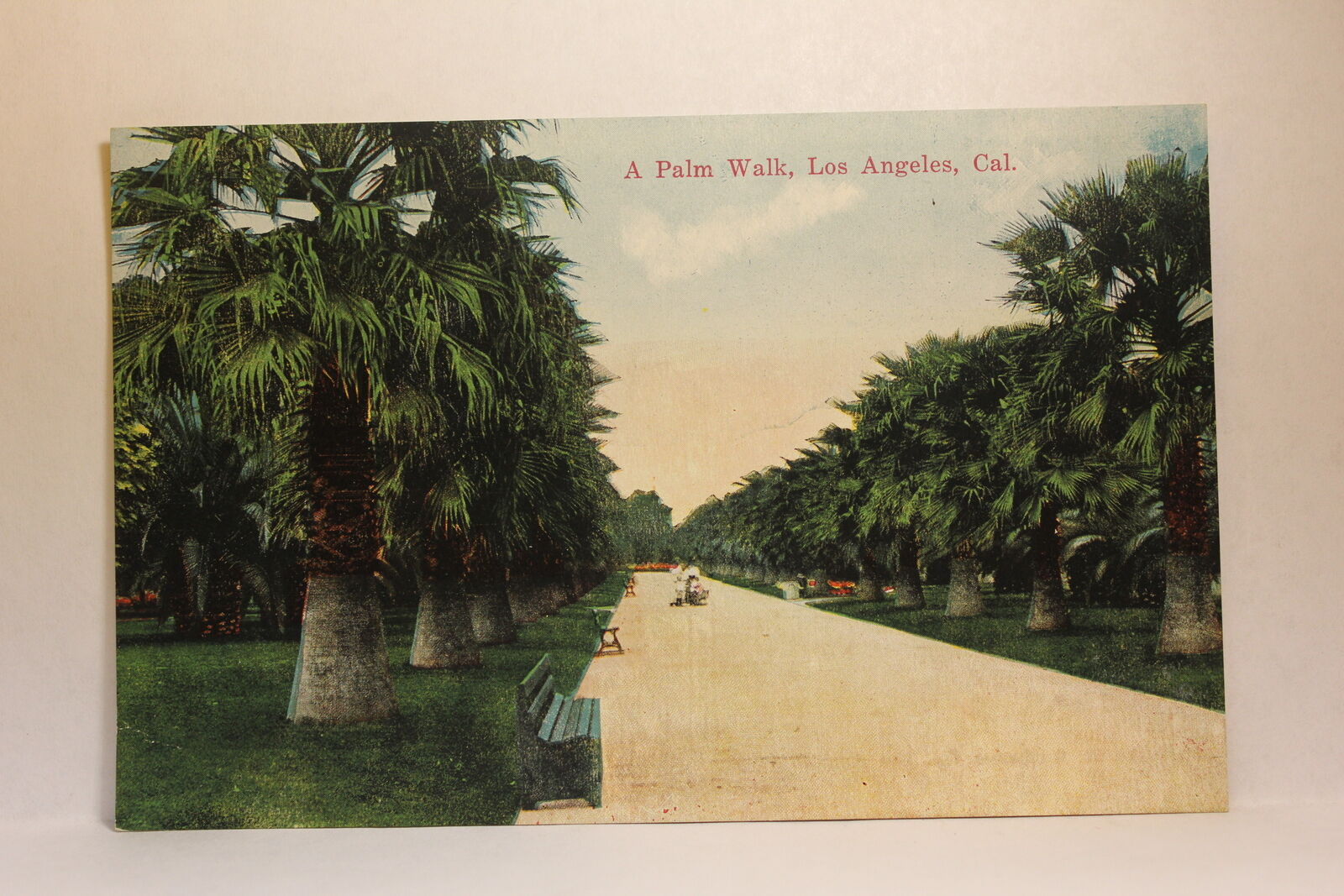Postcard A Palm Walk Los Angeles CA F29