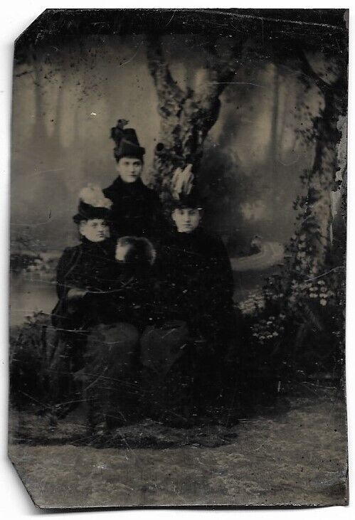 Ca: 1870-80 Tintype Photograph Showing Three Victorian Women Painted Backdrop